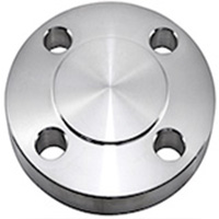 Stainless Steel 446 A182 Blind Flanges