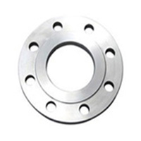 Stainless Steel 316H A182 Plate Flanges